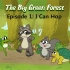 Little Fox 第一阶段的动画故事—The Big Green Forest