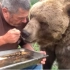 老爷爷吉姆善待萌宠，熊熊畅吃蜂蜜