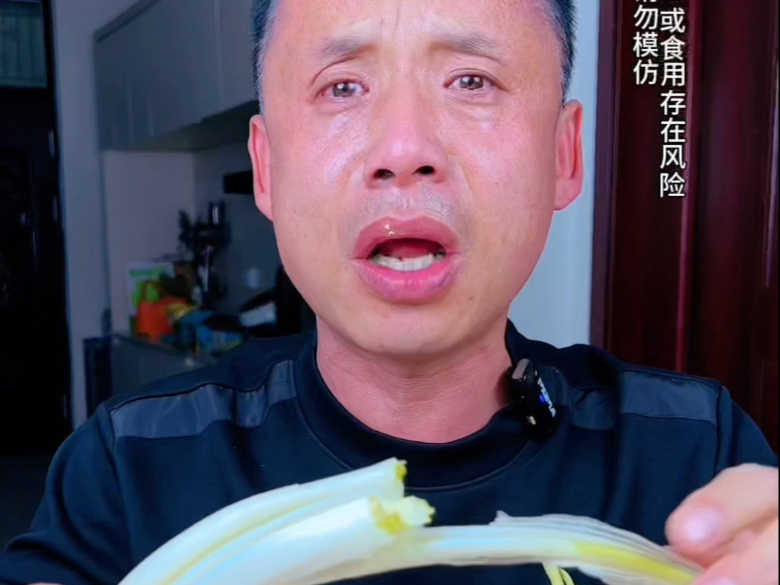 挑战陕北红葱，不辣，下次给我我找点更辣的吧