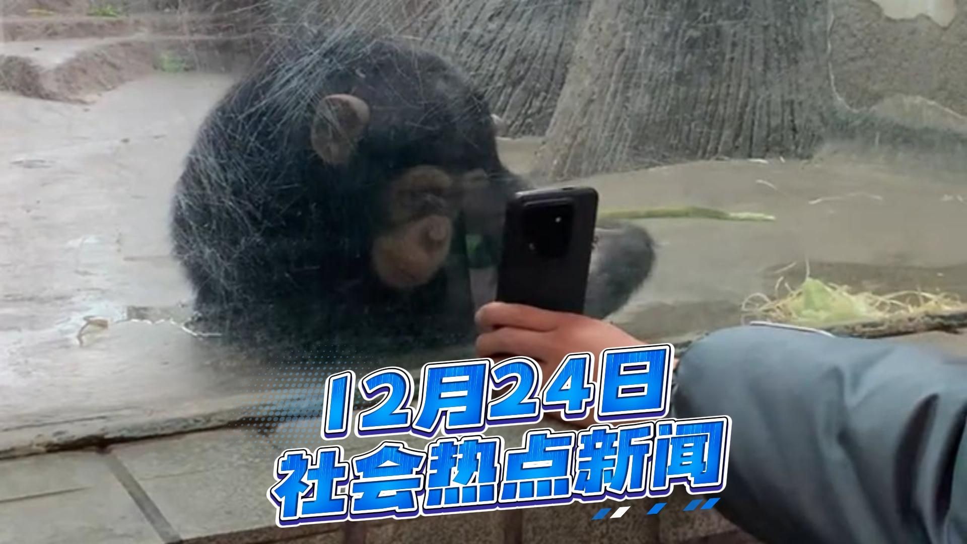 12月24日社会热点新闻事件速览，量大管饱