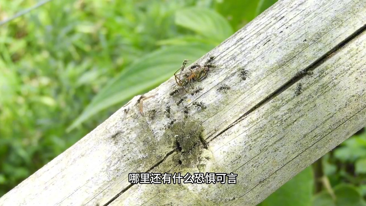 什么是财富自由？如何才能实现财富自由？千万别再掉入这个误区了！