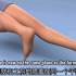 把脚踝当膝盖的手术，3D演示。。