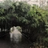 极度舒适的雨中林间漫步 4K (建议戴耳机观赏)