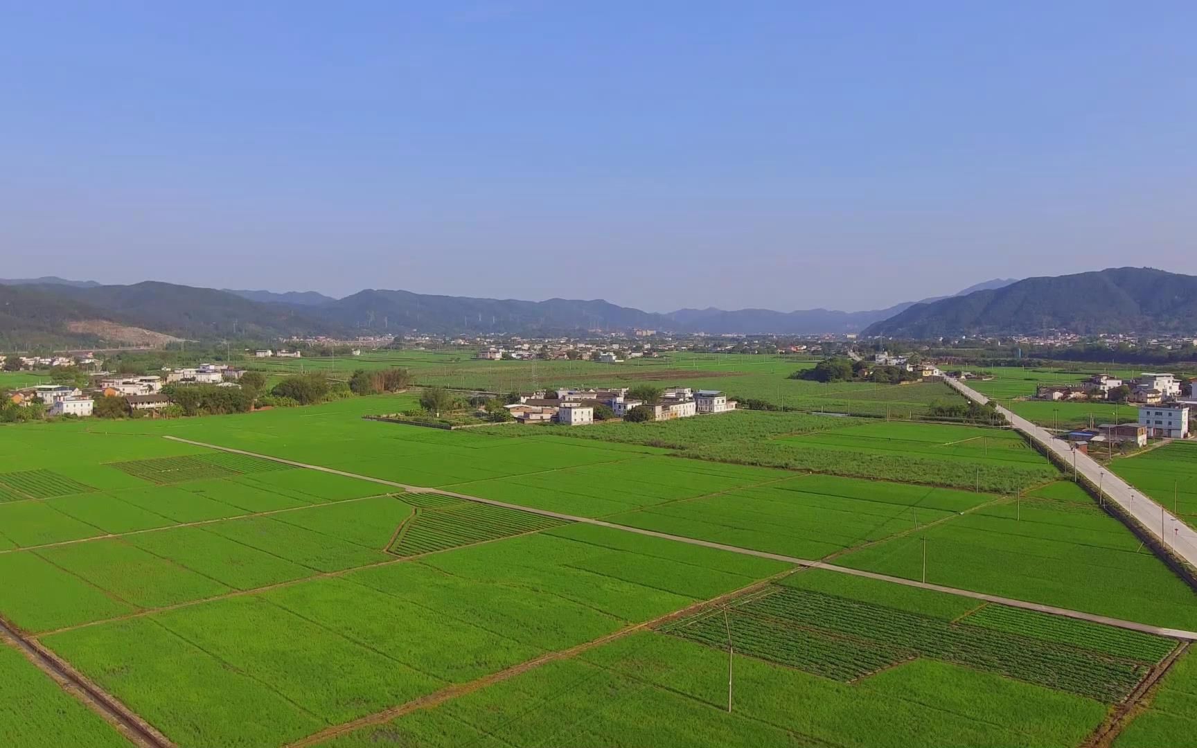 电影《八佰》里谢团长的故乡—广东省梅州市蕉岭县尖坑村