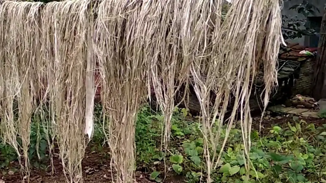 手工布鞋材料-苘麻