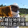 鉴定一下网络热门瞎扯地理题，阿根廷为什么大量出口蜂蜜
