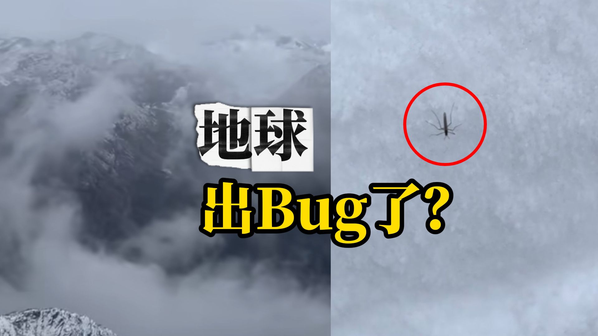 男子在海拔4700米雪山徒步发现了活蚊子