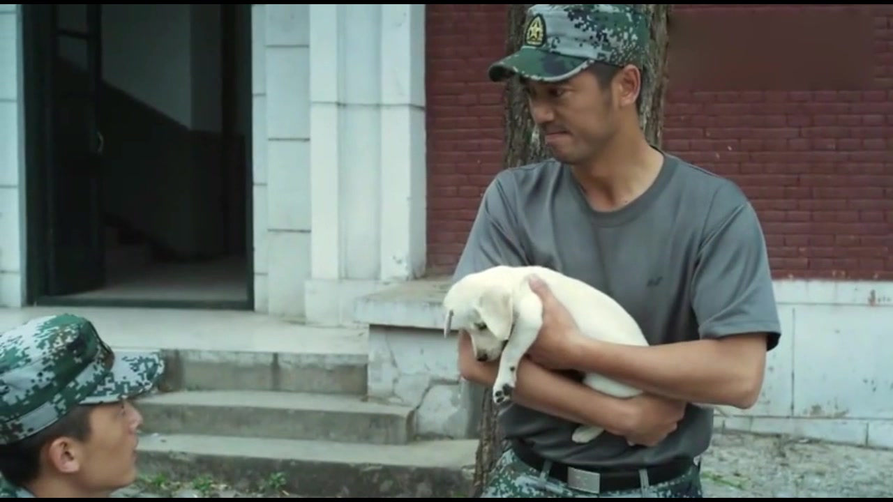 神犬奇兵全连队竟没人为谢连城出声唯一的小米被他当作肉菜