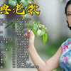 【40首经典老歌合集】8090后怀念的经典老歌，每一首都火遍全网