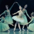 【巴黎歌剧院芭蕾舞团】《睡美人》2013高清官录