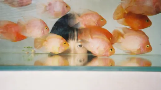 梦境交织，金鱼与死人头的寓言式解梦探索
