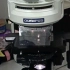 荧光显微镜操作方法（自用）
