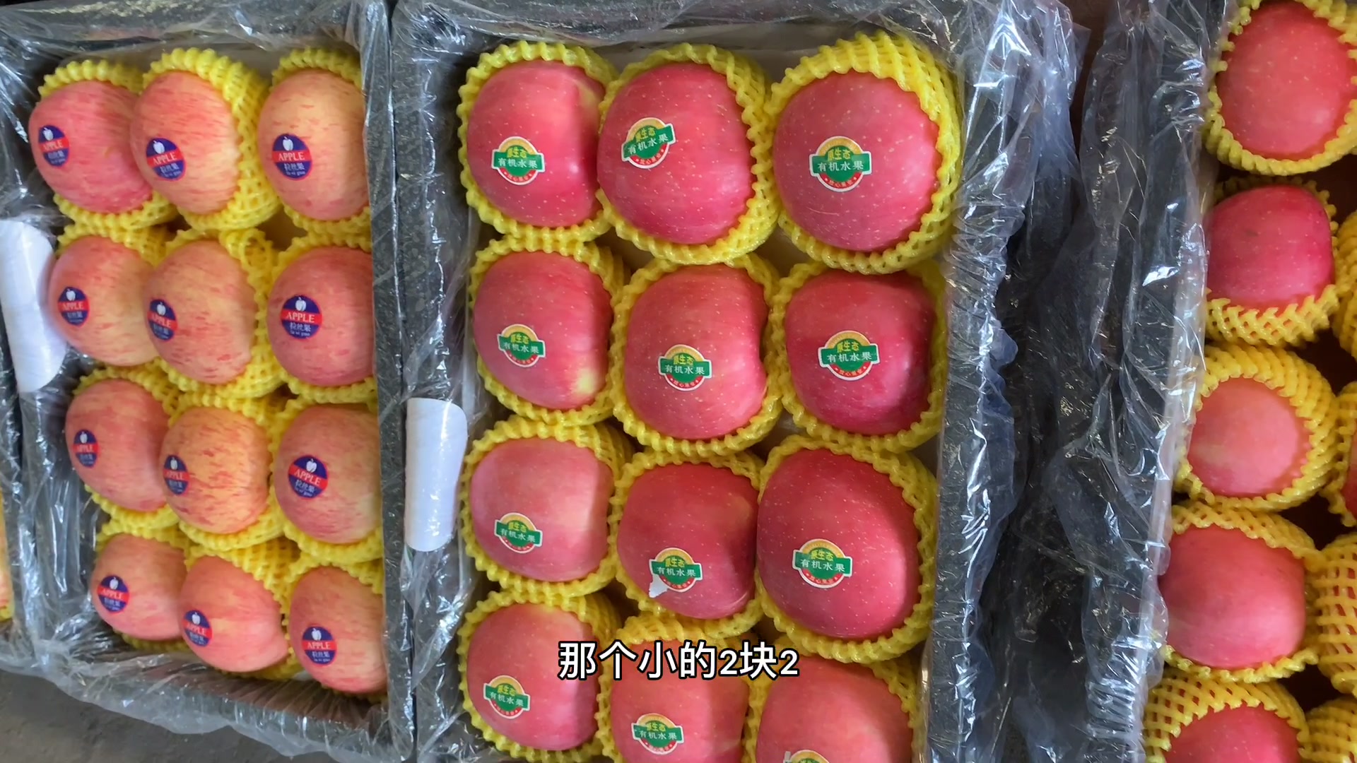 在河南市场买烟台富士苹果，老板说保质量，看看批发价多少钱一斤'