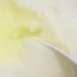 酸奶上有淡黄色的液体，还能食用吗？