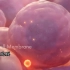 详细介绍干细胞（动画视频)