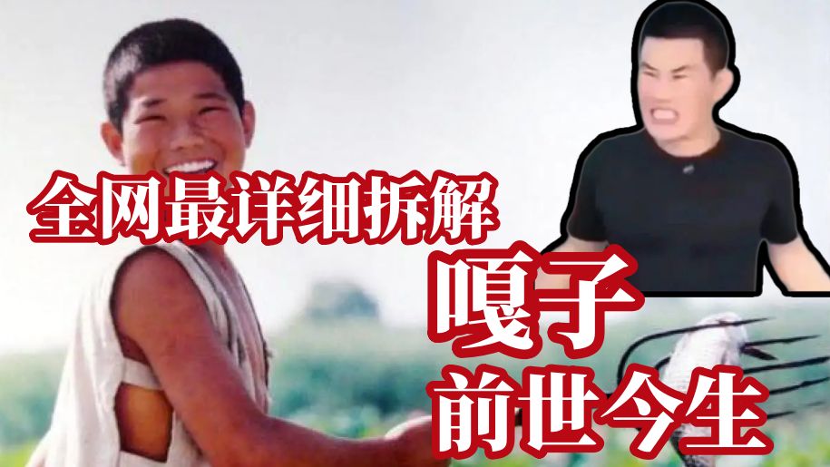 全网最详细拆解嘎子前世今生 | 还原带货名场面 | 分析嘎子的电影和互联网生涯