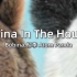 【Future House】Bobina,柳李 Atom Panda - China In The House