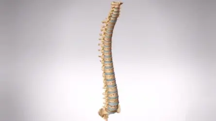 腰椎错位