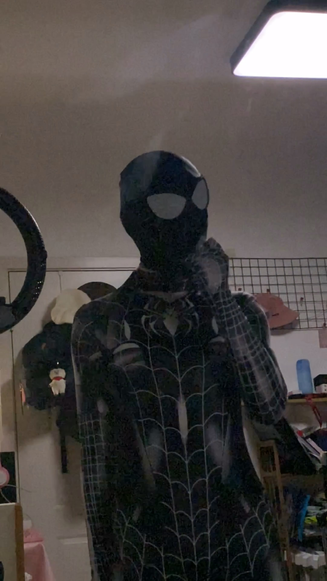 🕷️