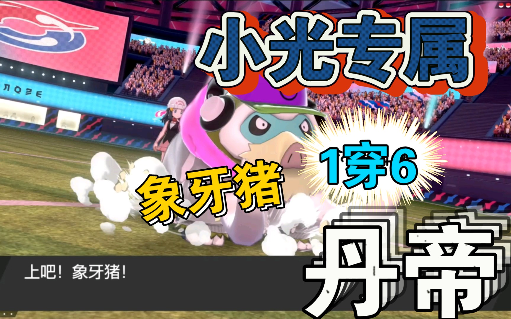 小光专属象牙猪【1穿6丹帝】捍卫神奥荣光,我辈义不容辞,宝可梦剑盾