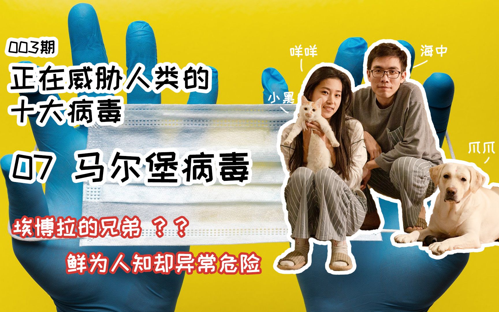 活动作品003期正在威胁人类的十大病毒07马尔堡病毒海中咩咩说