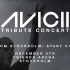 Avicii纪念会 12月5日高清完整版