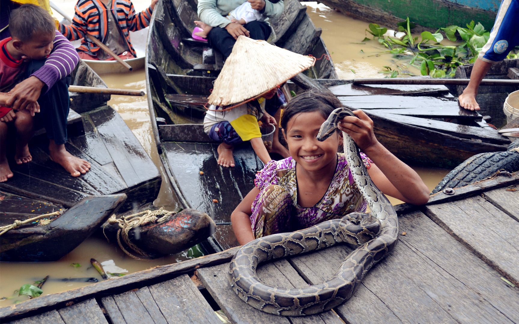 捕蛇者说！柬埔寨的惊悚水蛇季【寰球大百科133】