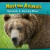 动物英文科普阅读---Grizzly Bear（灰棕熊）