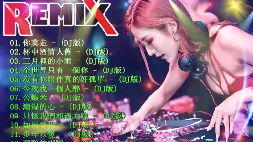 2022最火歌曲DJ 全中文舞曲串烧 最劲爆的DJ歌曲 中文舞曲 夜店混音-无聊音乐