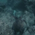 海底浮潜 听海底的声音