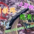 【中国铁路】上百种既有线上跑的车型大合集！用视频带你回到跨越曙光的原色时代