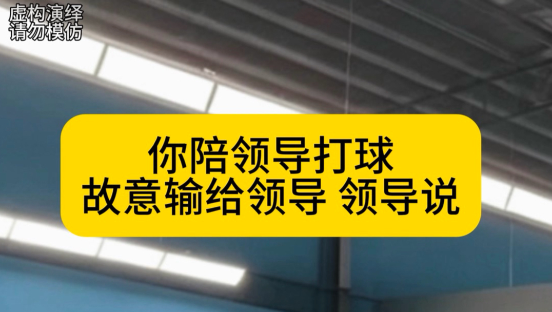 《商务羽毛球》