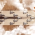 空军最新官方宣传片《天空之上》震撼发布！