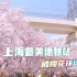 美呆了 上海最美地铁站被樱花环绕仿佛置身于动漫