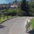 瑞士一位主人经常带着他的牧羊犬Rasta散步，并且记录下了途中遇到的风景