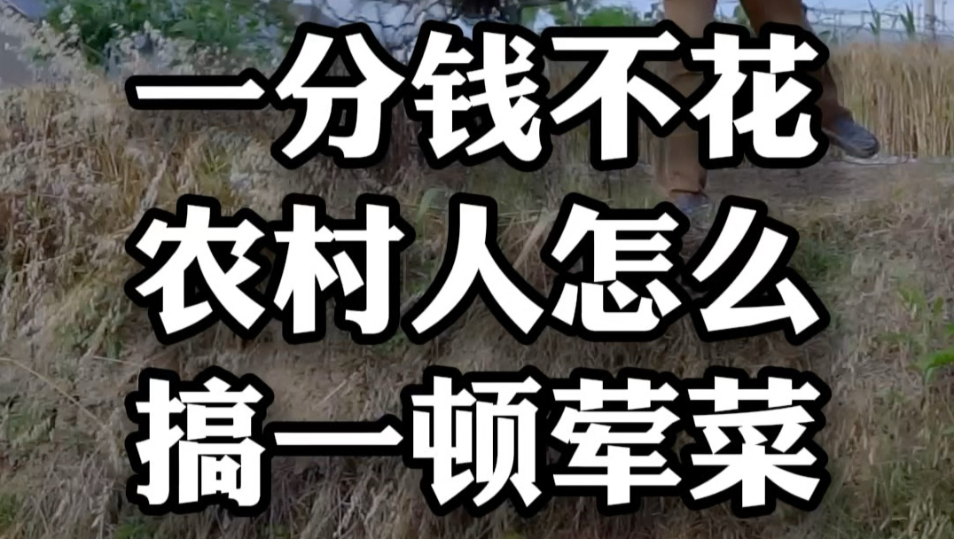 一分钱不花 农村人怎么搞一顿荤菜