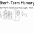 The difference between Short-Term Memory and Working-Memory短