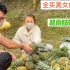 【农村美女】越南路边卖菠萝的姑娘，她爷爷说买完菠萝，送孙女给你们