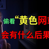 偷看黄色网站的后果你知道吗?不要以为删除记录就行了