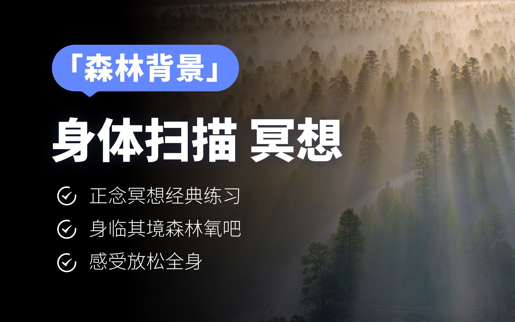 想象自己在森林里 做一次身体扫描正念冥想练习丨睡眠放松解压专注哔哩哔哩bilibili