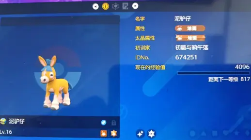 金色泥驴仔和紫色阿利多斯