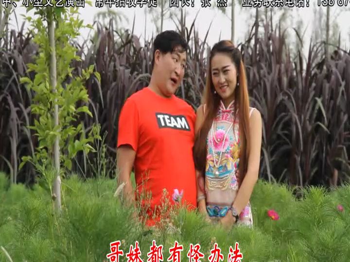 毛家超阿秋云南山歌《鸭子调戏红嘴鸥》