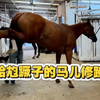 给尥蹶子的马儿修蹄