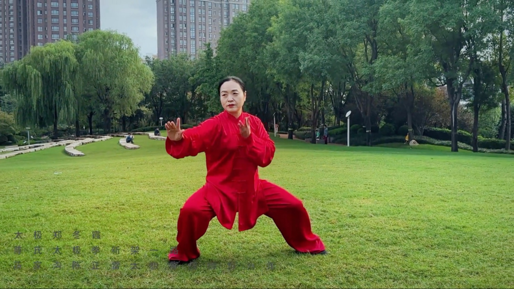 陈氏太极拳新架一路（郑冬霞大师）