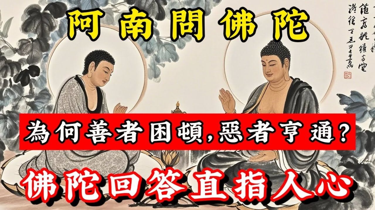 阿難求教：為何善者困頓，惡者亨通？釋迦牟尼的回答直指人心！#佛音禪心 #佛學 #佛學智慧 #人生感悟 #禅意生活 #心灵感悟