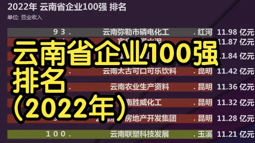 2022年 云南省企业100强 排名, 昆明63家 曲靖11家 玉溪10家 红河州5家