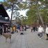 【超清】秋天漫步游日本奈良公园 拍摄日期：2022.11