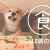 柴犬 女仆 干饭 真香