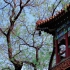 京城一处1——雍和宫篇