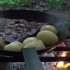 [日本]小雨露营炭火烧土豆牛排，听着雨声入眠